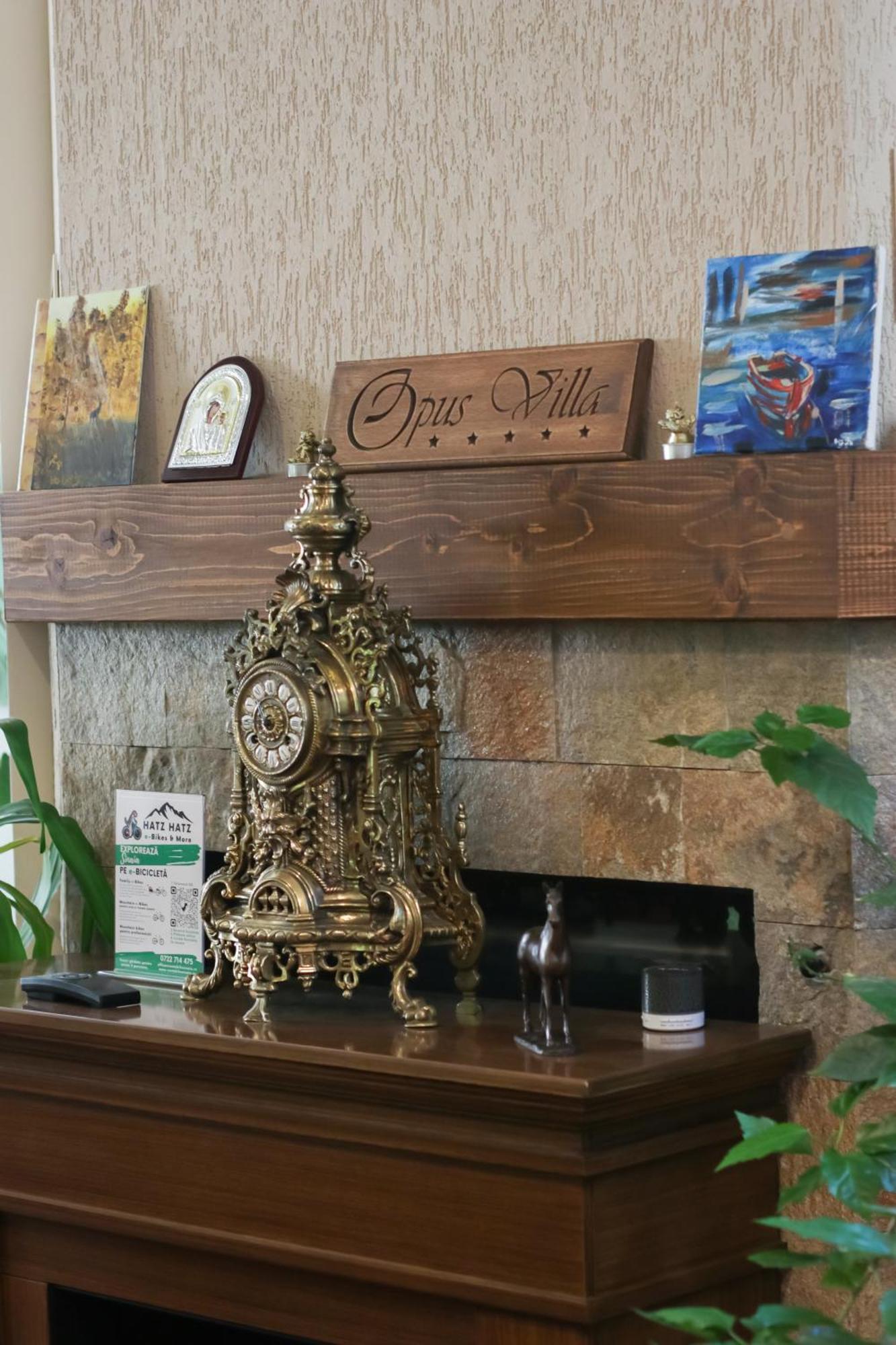 Opus Villa Σινάια Εξωτερικό φωτογραφία Opus Villa