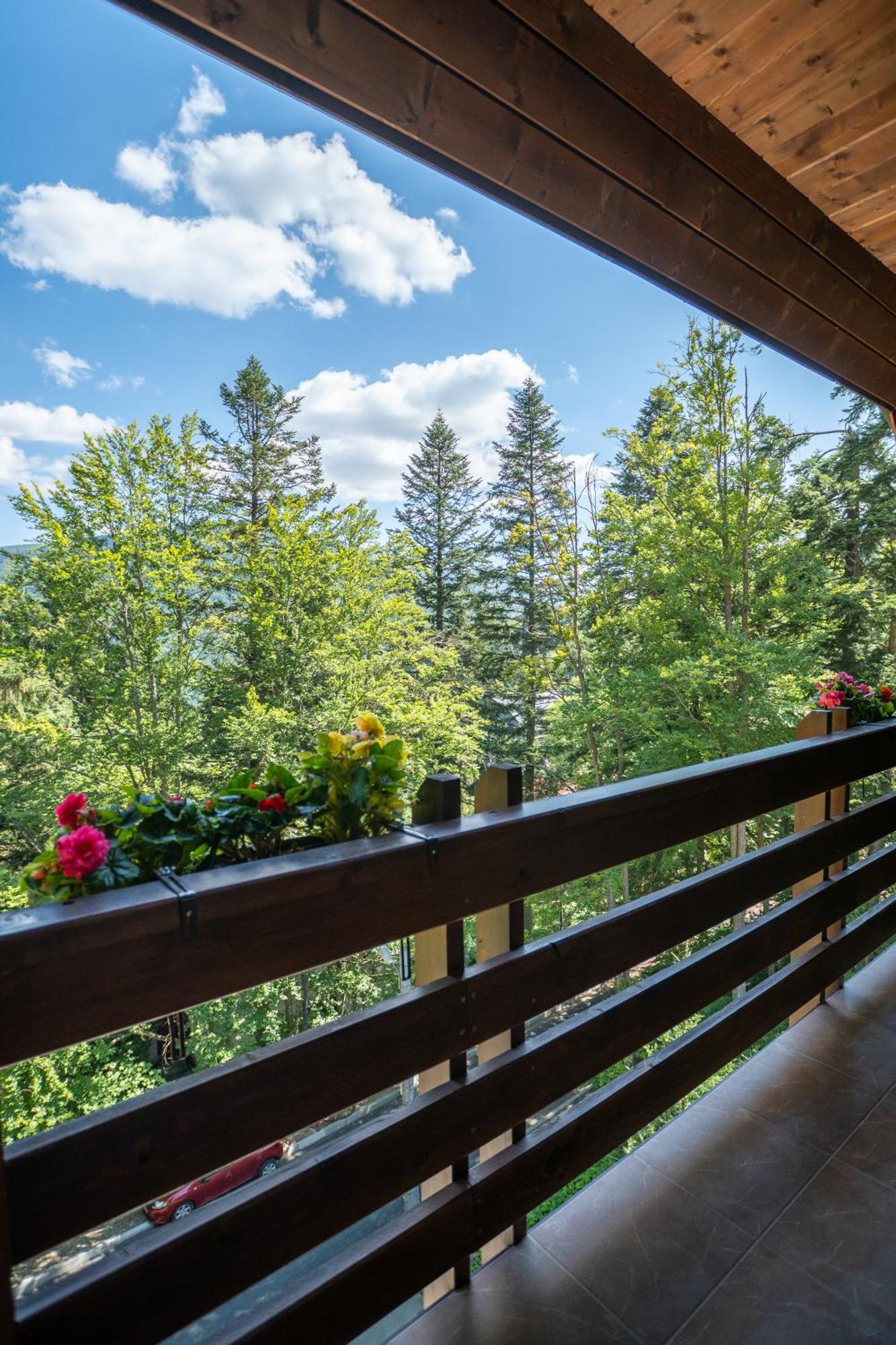Opus Villa Σινάια Εξωτερικό φωτογραφία A balcony in the Alps
