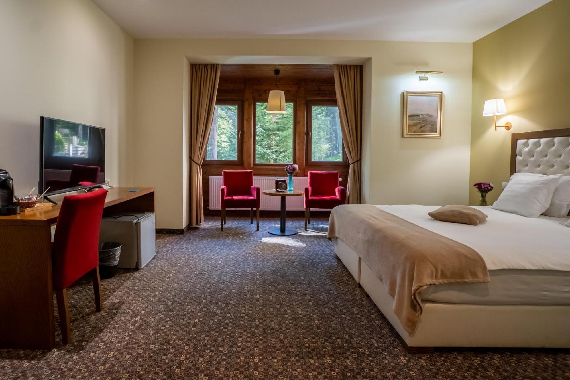 Opus Villa Σινάια Εξωτερικό φωτογραφία A room at the hotel