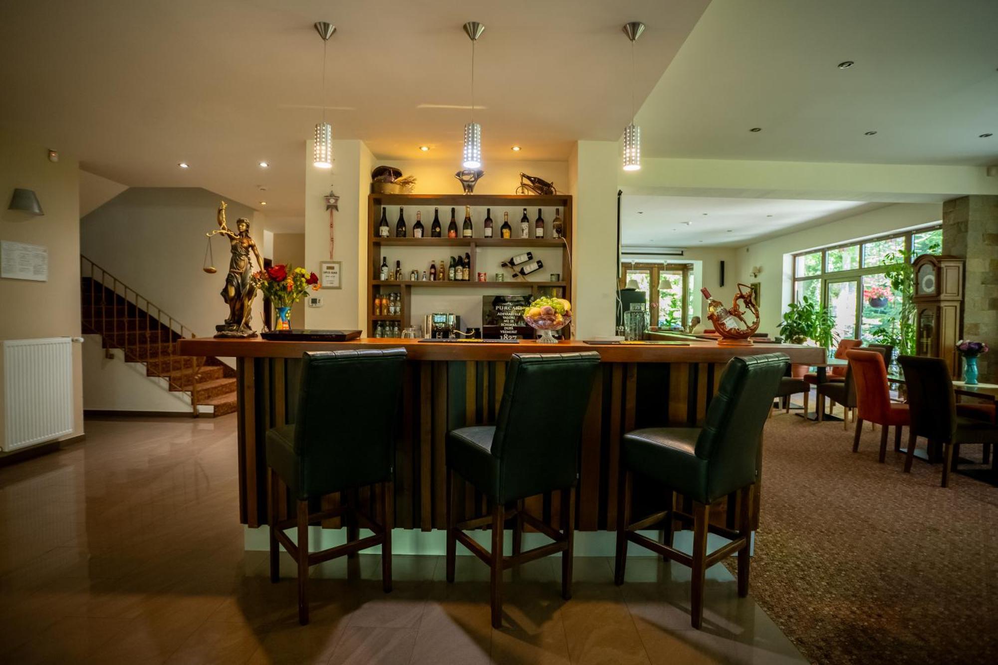 Opus Villa Σινάια Εξωτερικό φωτογραφία The bar at the hotel